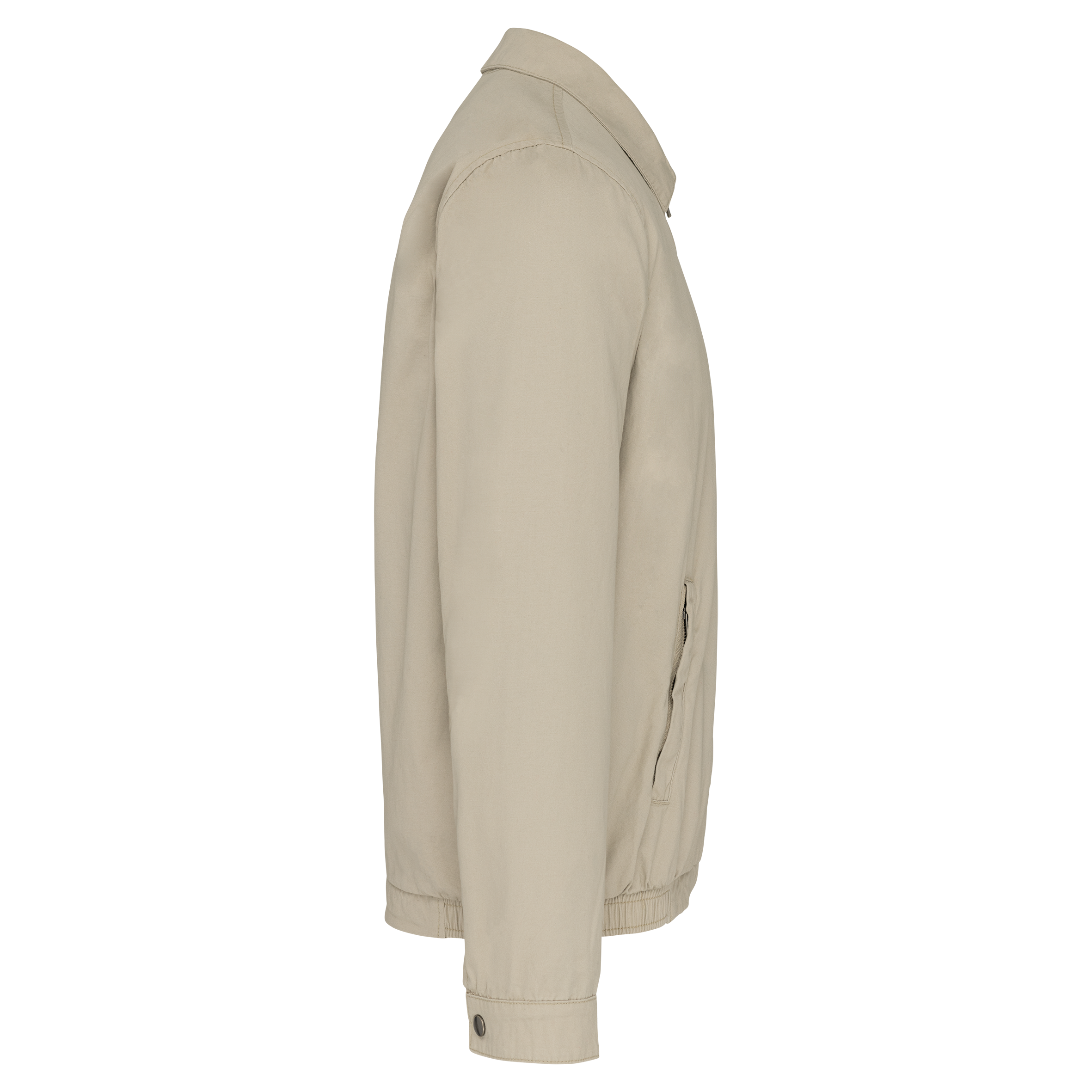 Côté gauche