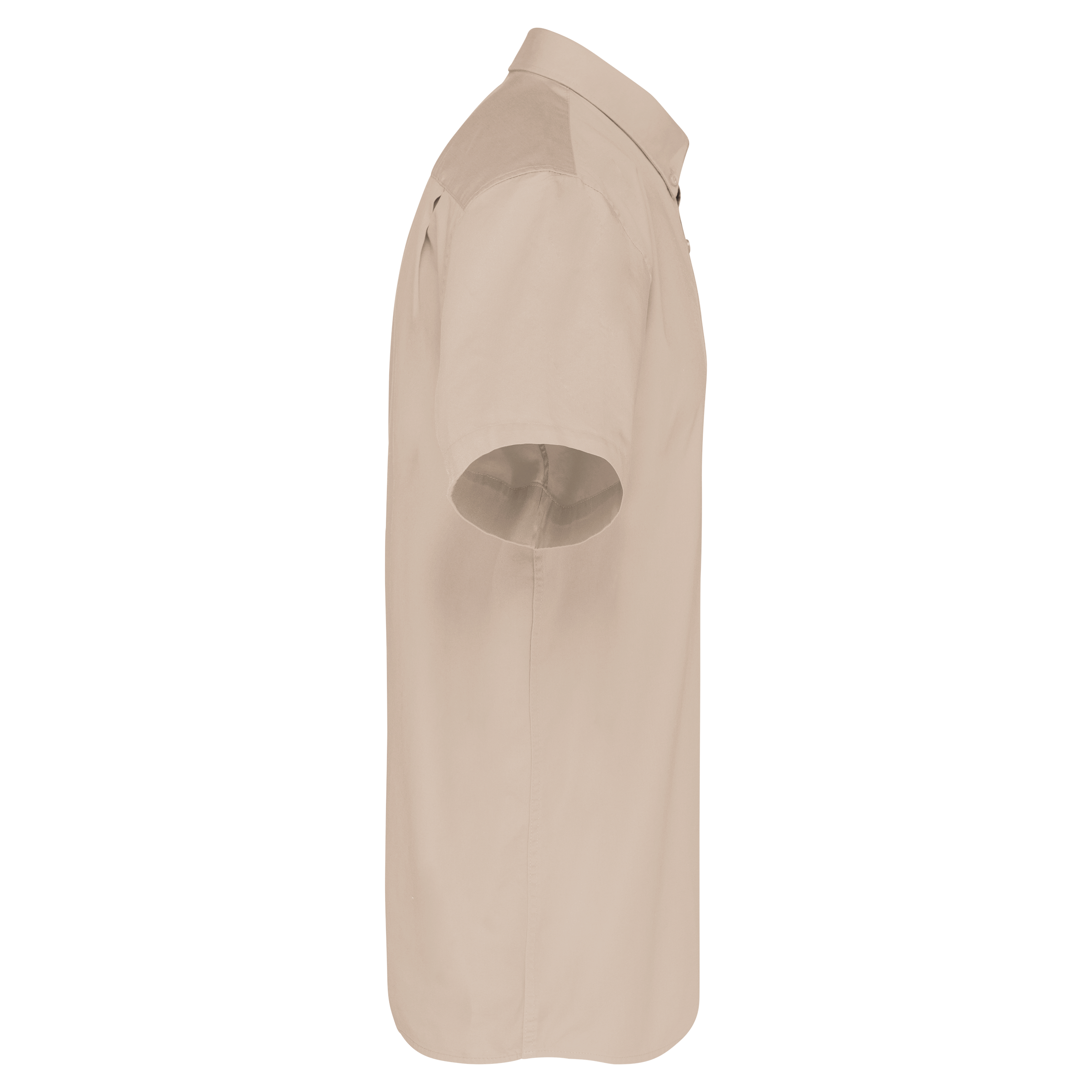 Côté gauche