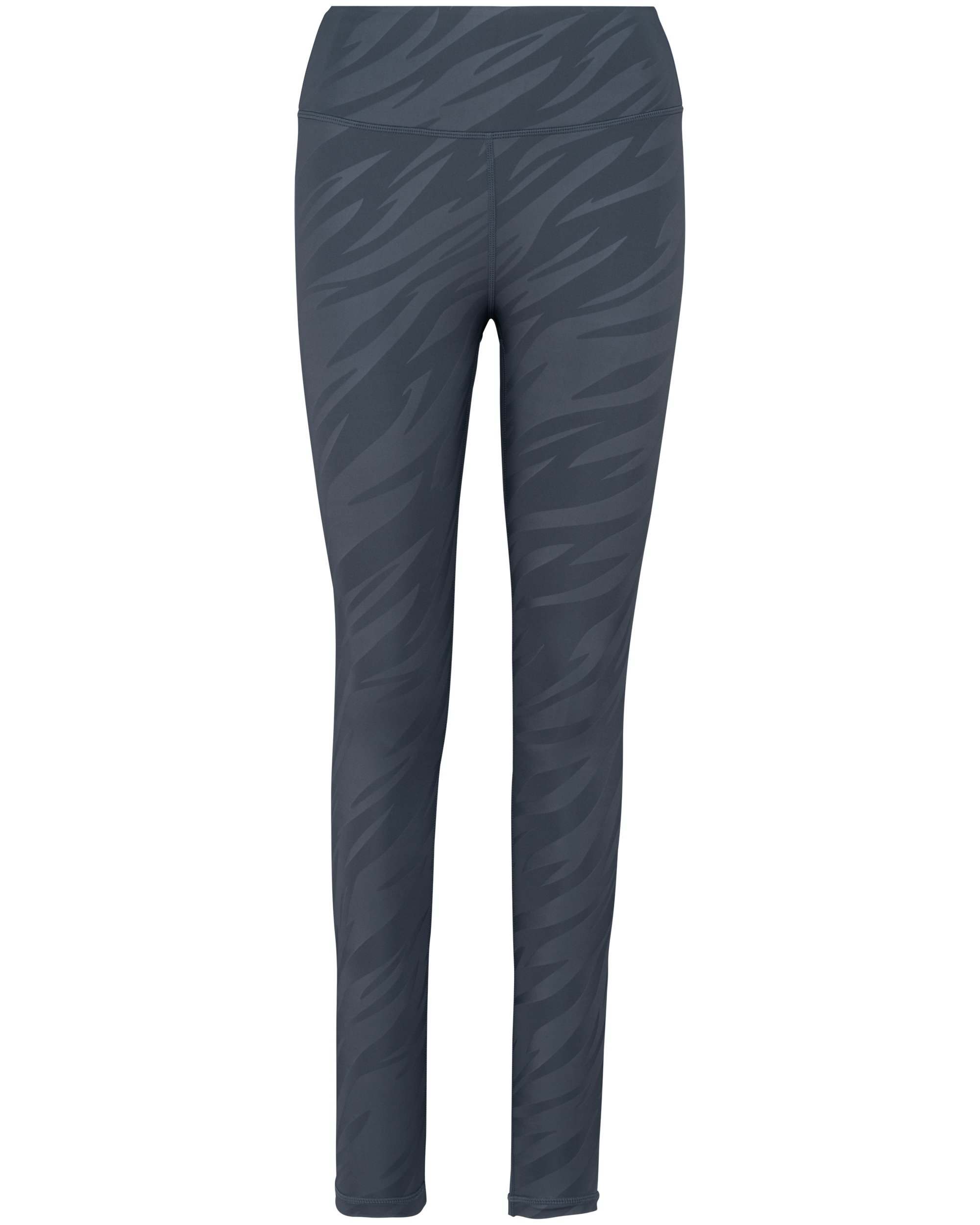 Wise Grey Zebra