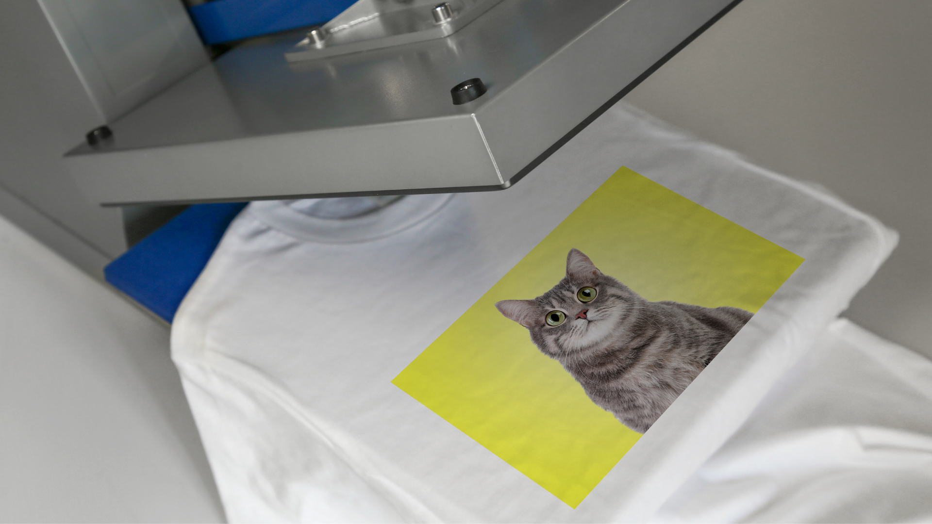 imprimer son animal sur un t-shirt